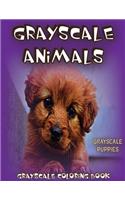 Grayscale Animals Puppies