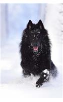150 Page Lined Belgian Shepherd Running In The Snow Journal