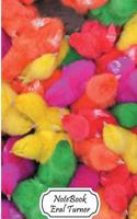 Notebook Journal Dot-Grid, Graph, Lined, Blank No Lined: Colorful Little Chicken: Small Pocket Notebook Journal Diary, 120 Pages, 5.5 X 8.5 (Blank Notebook Journal)(English)