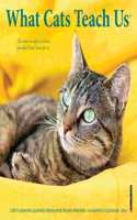 What Cats Teach Us 2023 Mini Wall Calendar