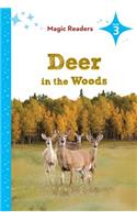 Deer in the Woods: Level 3