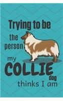 Trying to be the person my Collie Dog thinks I am