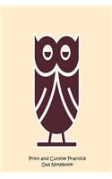 Print and Cursive Practice Owl Notebook