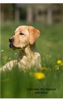 Labrador: My Tripawd Dog Diary