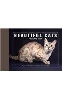 Beautiful Cats Postcard Book
