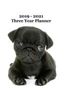 2019 - 2021 Three Year Planner: Adorable Pug Puppy Cover - Includes Major U.S. Holidays and Sporting Events