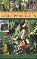 Best Plants to Attract and Keep Wildlife in Your Garden