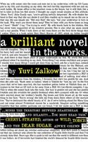 Brilliant Novel in the Works