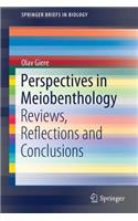 Perspectives in Meiobenthology