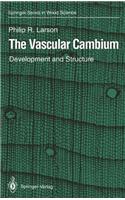 The Vascular Cambium: Development and Structure(Springer Series in Wood Science)