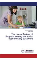 Causal Factors of Dropout Among the Socio-Economically Backward