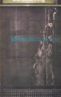 Dostoevskij in Focus
