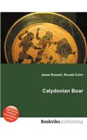 Calydonian Boar