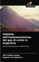 Viabilità dell'implementazione del gas di scisto in Argentina