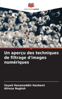 Un aperçu des techniques de filtrage d'images numériques