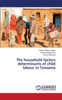 household factors determinants of child labour in Tanzania