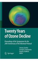 Twenty Years of Ozone Decline