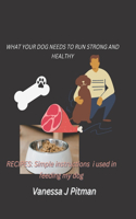 What Your Dog Needs to Run Strong and Healthy