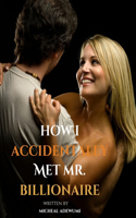 How I Accidentally Met Mr. Billionaire: When Fate Introduces You to Mr. Billionaire