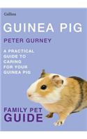 Guinea Pig