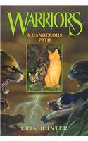 A Dangerous Path: (5 Warriors S.)