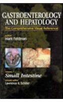 Gastroenterology and Hepatology: Small Intestine: Volume 7 (Comprehensive Visual Reference)