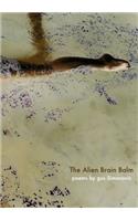 Alien Brain Balm: words abducted from the spaceship