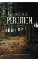 Perdition: A Novel of Suspense