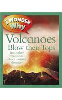 I Wonder Why Volcanoes Blow Their Tops: And Other Questions about Natural Disasters