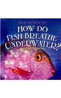 How Do Fish Breathe Underwater?