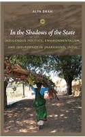 In the Shadows of the State