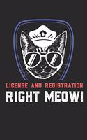 License and Registration Right Meow