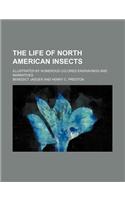 The Life of North American Insects; Illustrated by Numerous Colored Engravings and Narratives