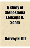 A Study of Stenostoma Leucops O. Schm