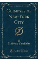 Glimpses of New-York City (Classic Reprint)