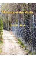 Mystery of the Walls