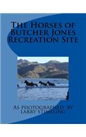 The Horses of Butcher Jones Recreation Site