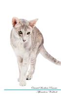 Oriental Shorthair Affirmations Workbook Oriental Shorthair Presents: Positive and Loving Affirmations Workbook. Includes: Mentoring Questions, Guidance, Supporting You.