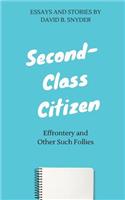 Second-Class Citizen