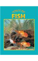 Caring for Your Fish
