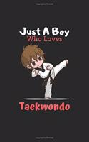 Just A Boy Who Loves Taekwondo