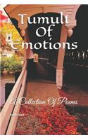 Tumult Of Emotions