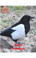 Magpie Sketchbook