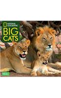 National Geographic Big Cats 2019 Calendar