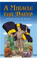 Miracle for David, A - Patron Saint of Wales