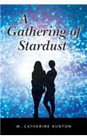 A Gathering of Stardust