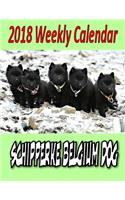 2018 Weekly Calendar Schipperke Belgium Dog