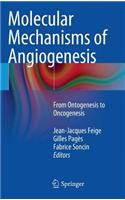 Molecular Mechanisms of Angiogenesis