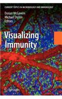 Visualizing Immunity: (English)