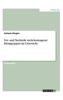 Vor- und Nachteile nicht-homogener Kleingruppen im Unterricht